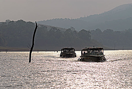 佩里亚,水库,佩里亚国家公园,靠近,喀拉拉,印度南部,印度,亚洲