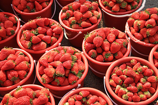 农民大集上草莓新鲜上市,市民纷纷选购尝鲜