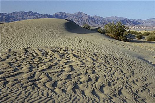 波纹,沙丘,死亡谷国家公园,加利福尼亚