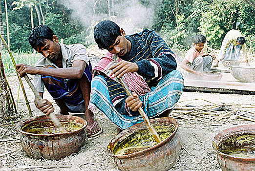 工人,制作,糖,英里,孟加拉,二月,2007年