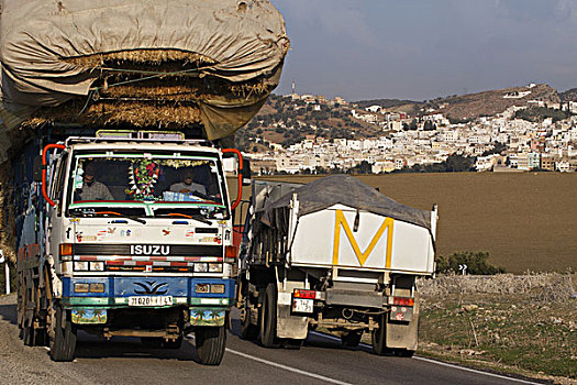 非洲,北非,摩洛哥,运输,卡车,公路