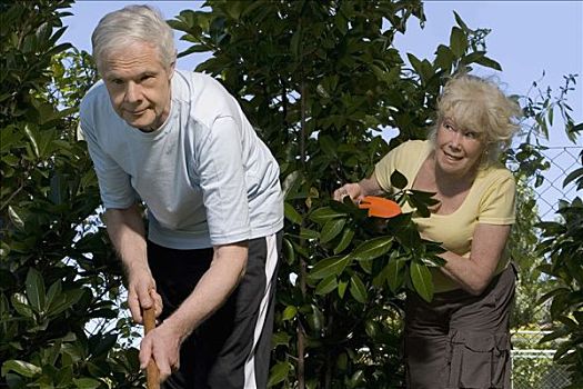 老年,夫妻,园艺