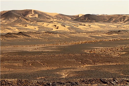 撒哈拉沙漠,摩洛哥