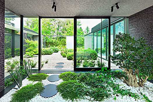 室内,花园,前厅,植物,树,白色,鹅卵石,风景,玻璃幕墙