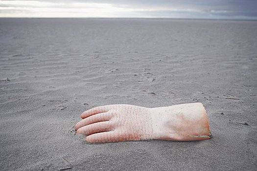 橡胶手套,海滩,石荷州,德国