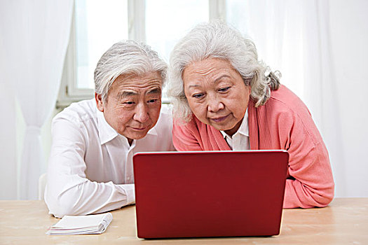 一对老年夫妇使用笔记本电脑
