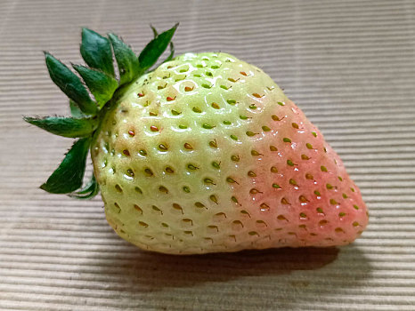 淡雪白草莓,草莓
