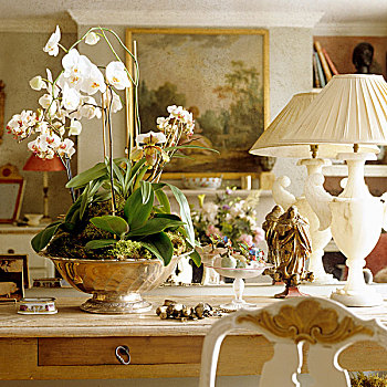 白色,兰花,银,器具,台灯,木桌子