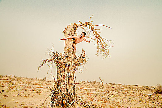 新疆,沙漠,枯树,男人,形体,姿式