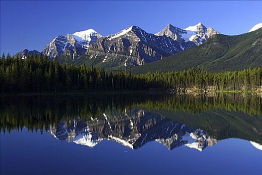反射,山峦,水中,湖,班芙国家公园,艾伯塔省,加拿大