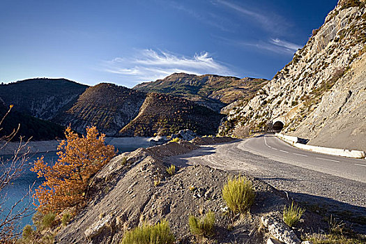 秋天,道路,海岸