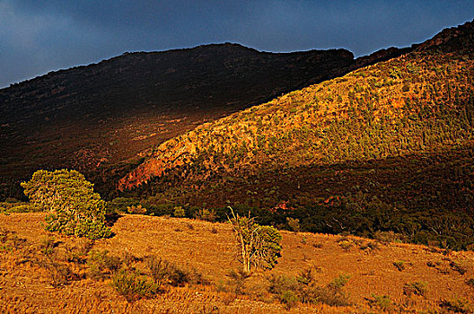 澳大利亚,澳洲南部,日出,弗林德斯山国家公园