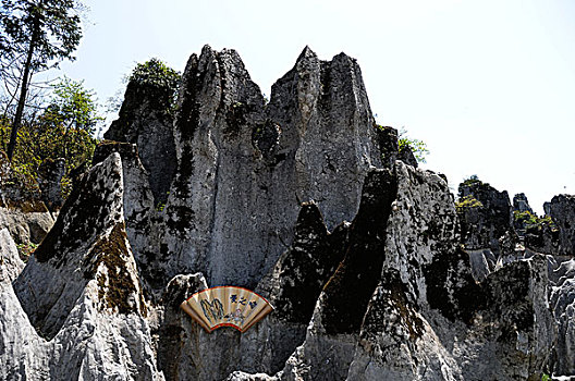 华蓥山国家地质公园