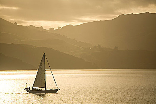 新西兰,阿卡罗瓦,帆船,黄昏