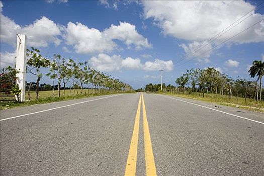 公路,靠近,多米尼加共和国,加勒比海
