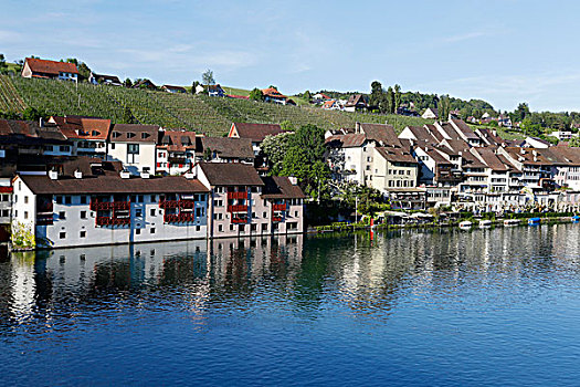 景色,莱茵河,河,瑞士,欧洲
