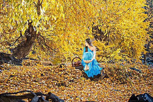 新疆,树林,秋色,黄叶,美女