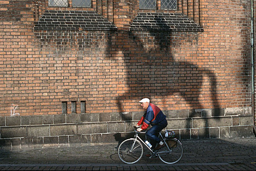 骑自行车,靠近,影子,马,骑乘,柏林,德国,欧洲