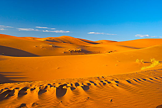 沙子,沙丘,撒哈拉沙漠,南方,摩洛哥,非洲
