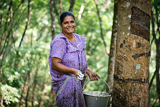 女人,站立,橡胶树,自然,橡胶,种植园,喀拉拉,印度,亚洲