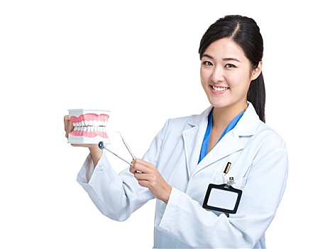 亚洲女性,牙医,展示,颚部