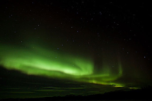 螺旋,绿色,北方,极光,北极光,靠近,育空地区,加拿大