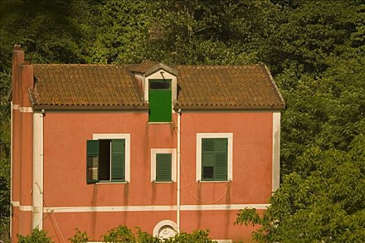 房子,山坡,萨勒诺,坎帕尼亚区,意大利