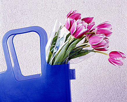 购物袋,花束,郁金香,只有,概念,购买,包,蓝色,塑料袋,篮子,大手提袋,植物,装饰,洋葱,百合,花,春花,切片