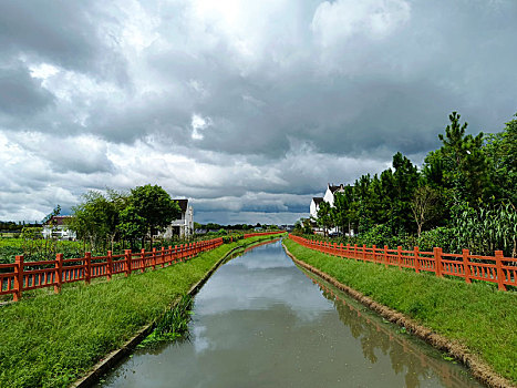 乡野小河,河道绿化