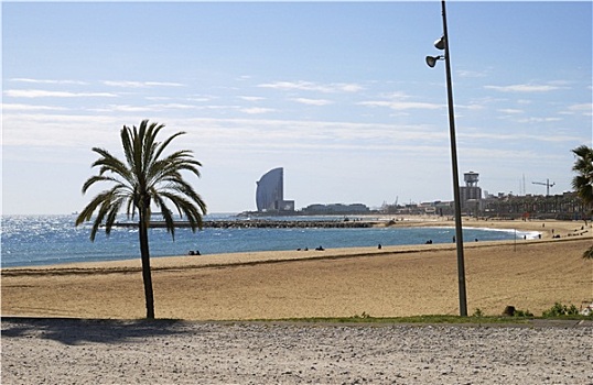 海滩,巴塞罗那,西班牙