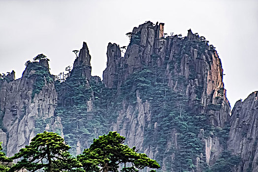 安徽省黄山市黄山风景区西海大峡谷自然景观