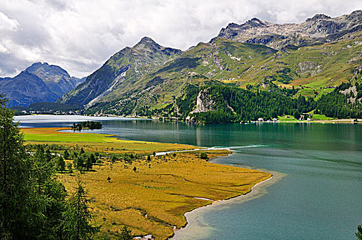 湾流,河,湖,恩加丁,瑞士,欧洲