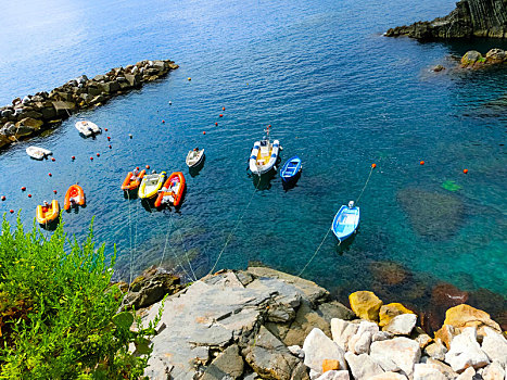 彩色,鱼,船,石头,上方,地中海,马纳罗拉,五渔村,意大利