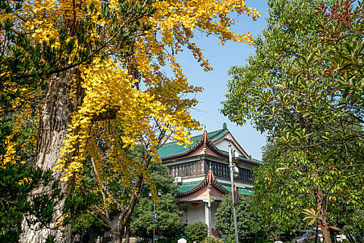 长沙古开福寺－佛殿,钟鼓楼,古银杏,佛塔