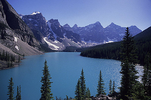加拿大,艾伯塔省,落基山脉,班芙国家公园,冰碛湖,松树