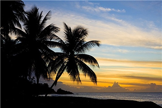 日落,上方,加勒比海,海龟滩,多巴哥岛