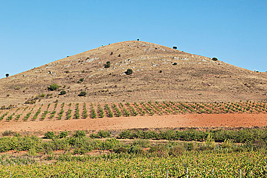 农业,风景,靠近,萨拉戈萨省,阿拉贡,西班牙