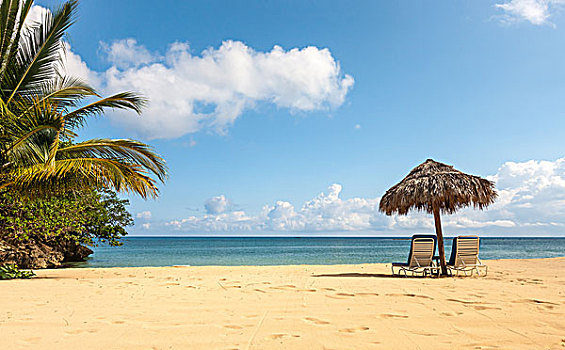 太阳椅,伞,热带沙滩
