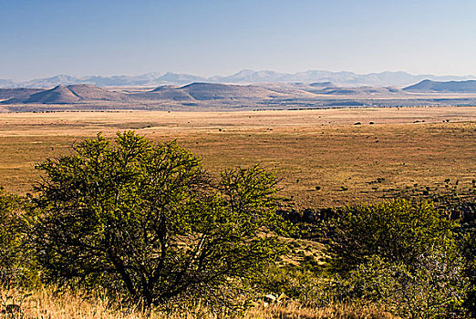 山,斑马山国家公园,东开普省,南非,非洲