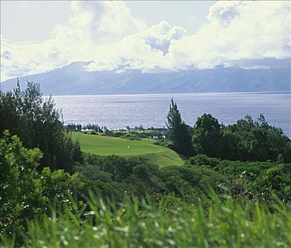 夏威夷,毛伊岛,卡帕鲁亚湾,高尔夫球杆,种植园,场地,绿色,冲沟,海洋