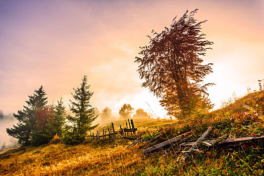 彩色,秋日风光,喀尔巴阡山脉地区