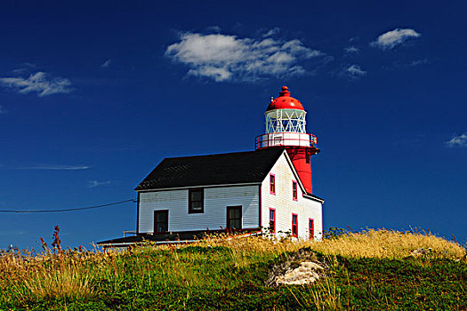 灯塔,头部,阿瓦隆,半岛,纽芬兰,加拿大,北美