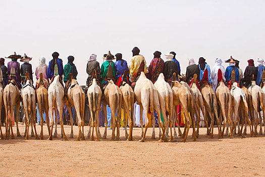 后视图,大量,男人,骑,骆驼,沙漠