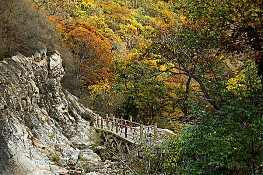 天津蓟县,梨木台风景区,古长城,秋色,风景区,旅游区