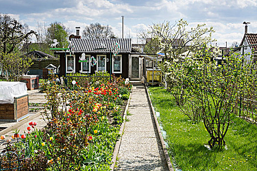 小块菜地,春天,小,花园,地区,北莱茵威斯特伐利亚,德国,欧洲