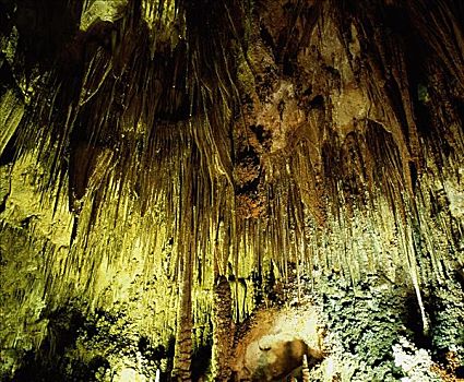 大厅,卡尔斯巴德洞穴国家公园,新墨西哥,美国
