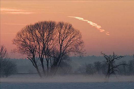 雾状,冬季风景,日出,巴伐利亚,德国