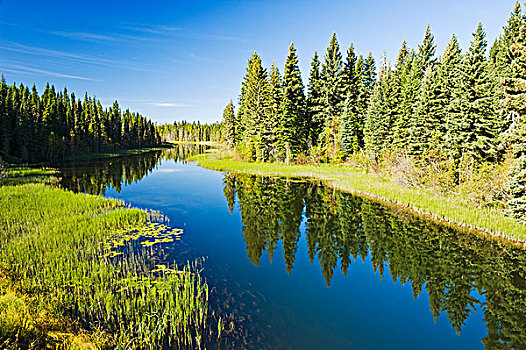 河,国家公园,萨斯喀彻温,加拿大