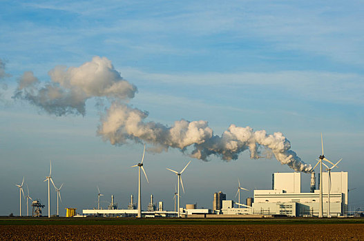煤,发电站,港口,区域,格罗宁根,荷兰