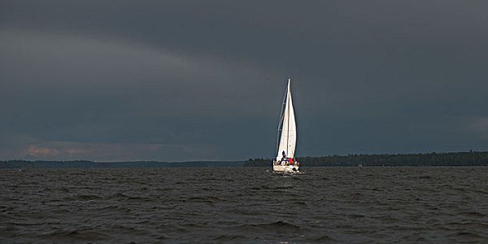 风景,帆船,湖,木头,安大略省,加拿大